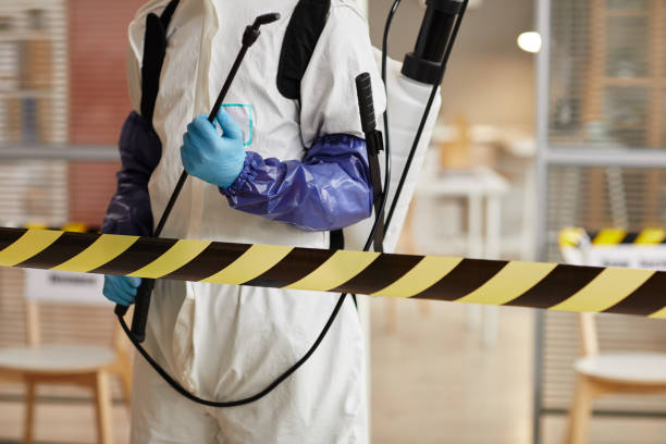 Professional Odor Removal technician working in Ashley, OH