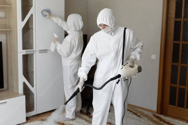 24/7 Emergency Odor Removal experts in Ashley, OH