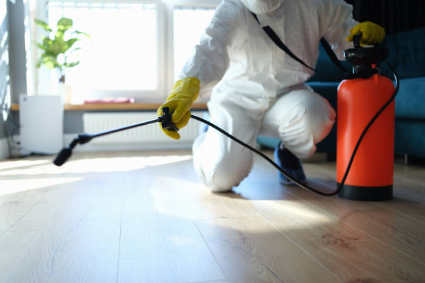 Reliable Odor Removal contractor in Ashley, OH by Trauma Clean Pros
